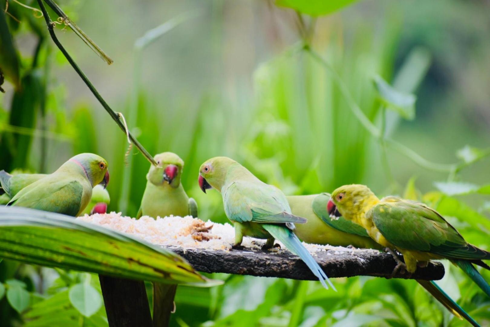 إيلا Relax Inn المظهر الخارجي الصورة